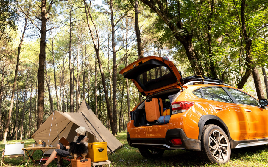 Car Camping Essentials: What You Need for a Memorable Trip