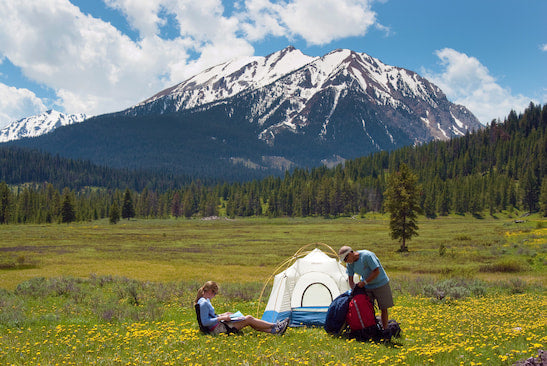 10 Best Campgrounds for Camping in Yellowstone