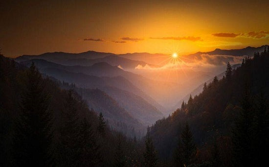 Things to Do Great Smoky Mountains National Park: Exploring the Great Outdoors