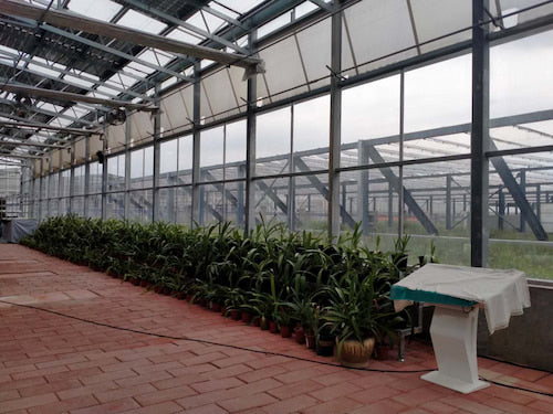 How to Heat a Greenhouse: 4 Proved Practical Ways