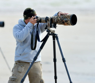 How to Get into Wildlife Photography: A Comprehensive Guide