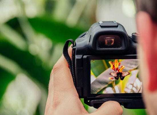 Gifts for Photographers: A Curated Collection of Creative Ideas