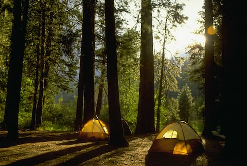 The Wonders of Camping in the Woods: Things You Need to Know