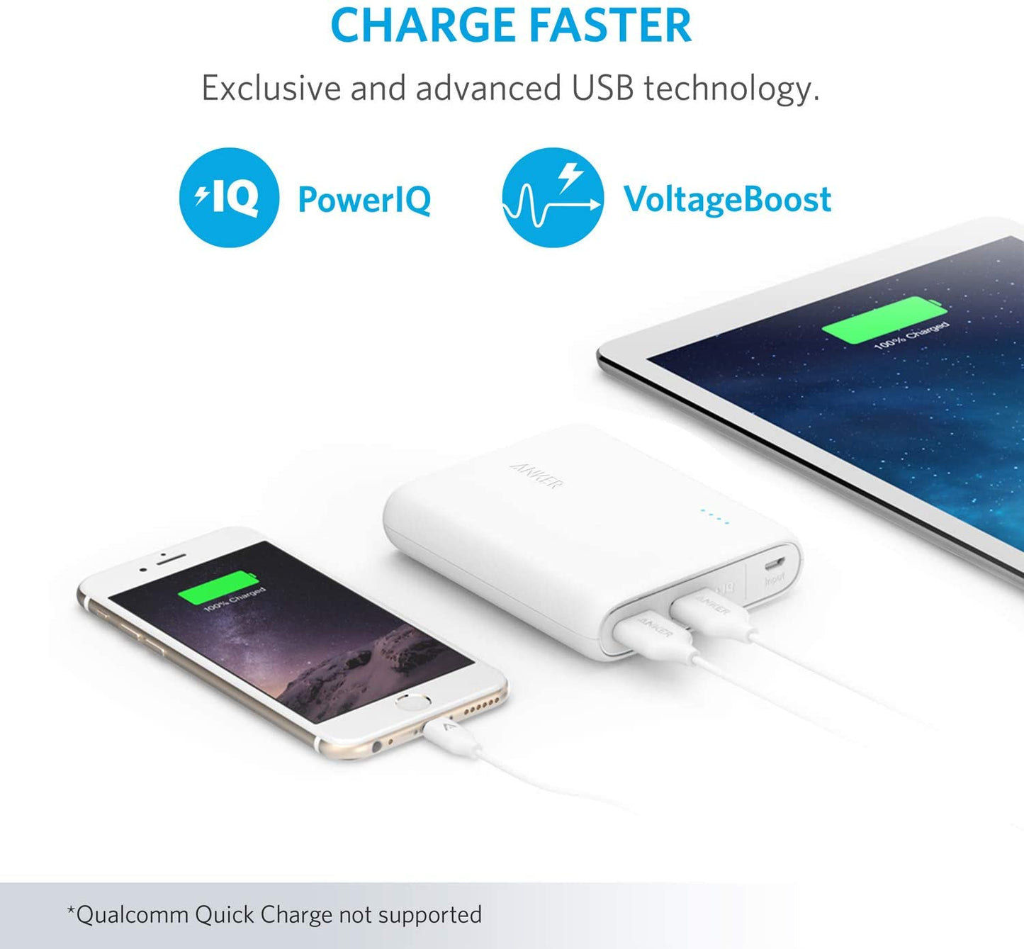 <b>PowerCore</b> 13000